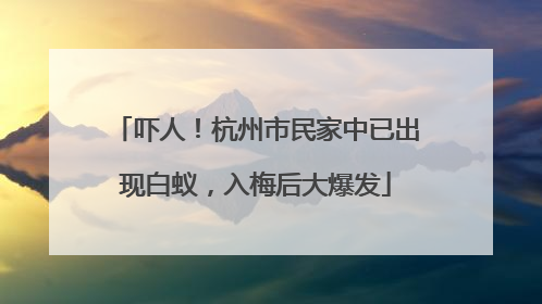 吓人！杭州市民家中已出现白蚁，入梅后大爆发